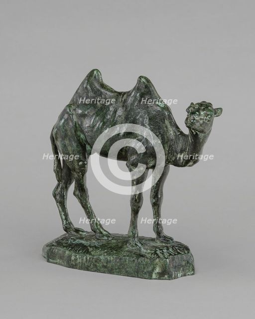 Persian Camel, model n.d., cast by 1874. Creator: Antoine-Louis Barye.