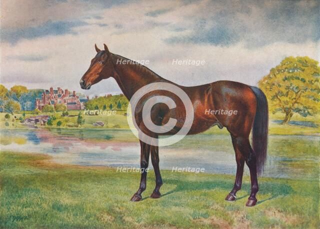 Persimmon, c1905 (c1910). Artist: Unknown.