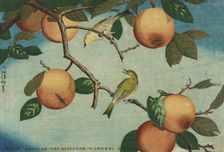 Persimmons and White-Eyes, 1880. Creator: Kobayashi Kiyochika