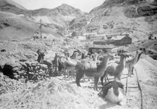 Peru Scenes, 1912. Creator: Harris & Ewing