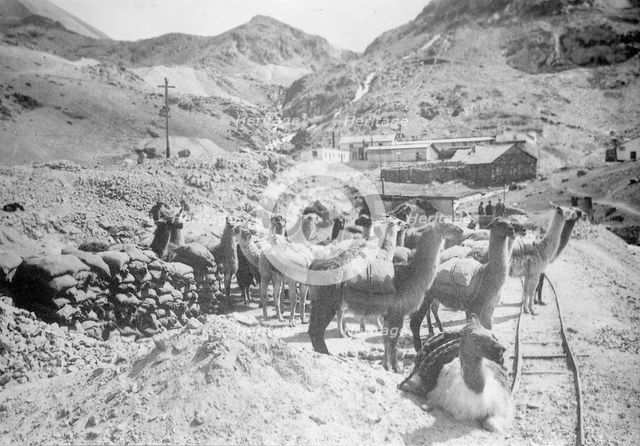 Peru Scenes, 1912. Creator: Harris & Ewing.