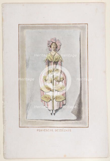 Pervenche Desséchée, from Les Fleurs Animées, 1847., 1847. Creator: Charles-Michel Geoffroy.