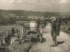 Pfalz - Gathering grapes near Weisenheim 1931. Artist: Kurt Hielscher