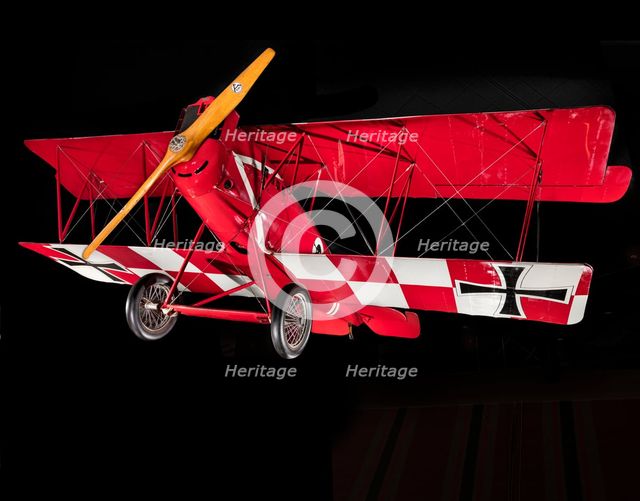 Pfalz D.XII, 1918. Creator: Pfalz Flugzeug Werke A.G..
