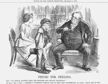 Physic for Fenians 1866. Creator: John Tenniel