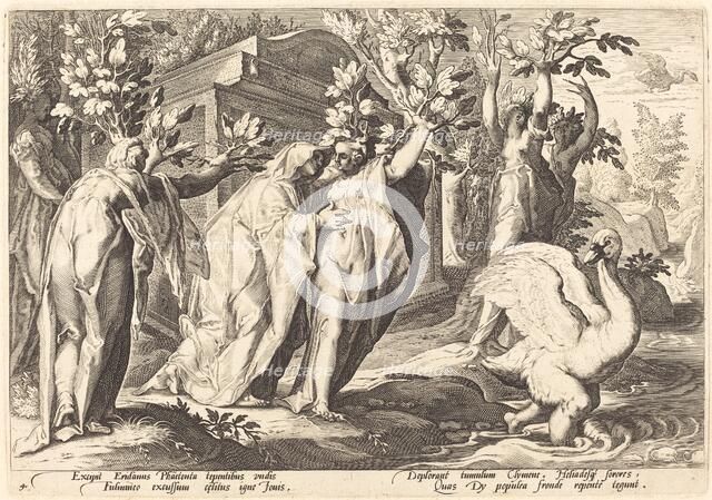 Phaeton's Sisters Changed into Poplars, Cygnus into a Swan. Creator: Goltzius, Workshop of Hendrick,.