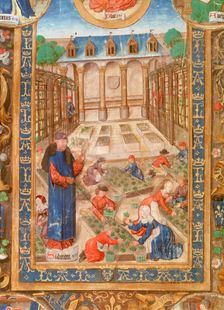 Pharmaceutical garden, 15th century