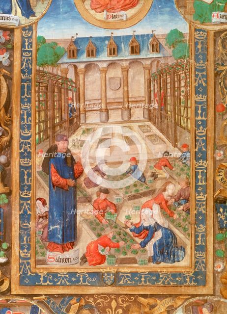 Pharmaceutical garden, 15th century. Artist: Unknown