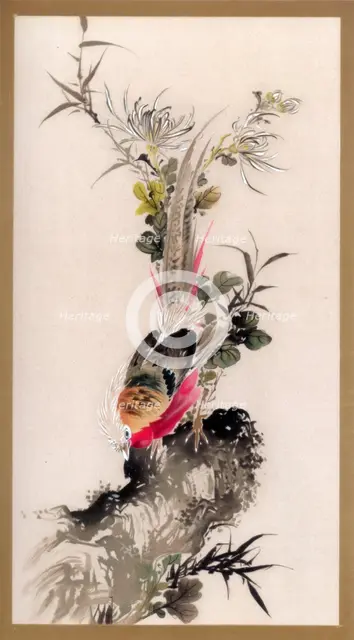 Pheasant, 1832 (1886). Artist: Witherby & Co