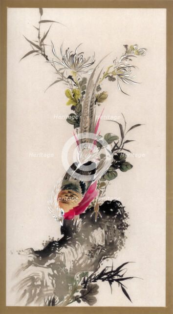 Pheasant, 1832 (1886). Artist: Witherby & Co