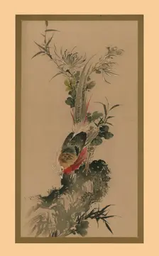 Pheasant, 1832, (1886). Artist: Witherby & Co
