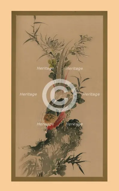 Pheasant, 1832, (1886).  Artist: Witherby & Co.