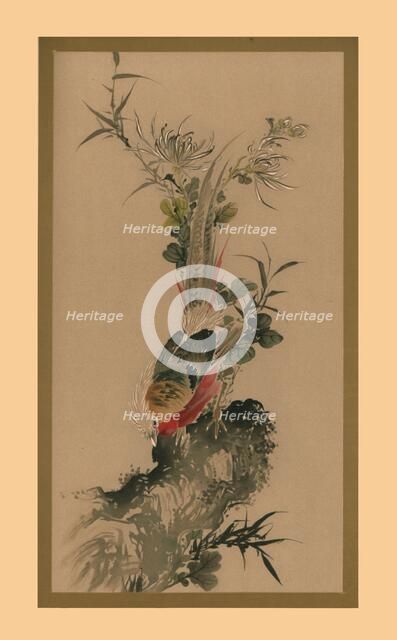 Pheasant, 1832, (1886).  Artist: Witherby & Co.