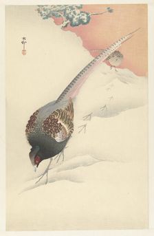Pheasant couple in the snow, 1925-1936. Creator: Ohara, Koson (1877-1945)