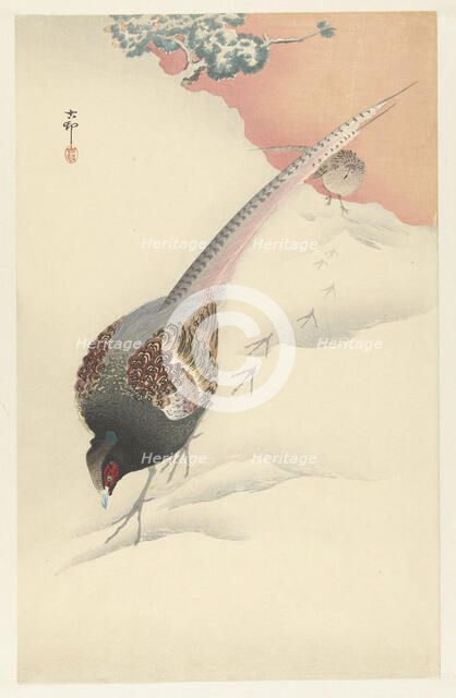 Pheasant couple in the snow, 1925-1936. Creator: Ohara, Koson (1877-1945).