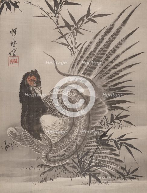 Pheasant Caught by a Snake, ca. 1887. Creator: Kawanabe Kyosai.