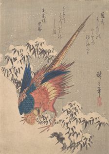 Pheasant Among Snow-laden Bamboo on Hillside, ca. 1840., ca. 1840. Creator: Ando Hiroshige