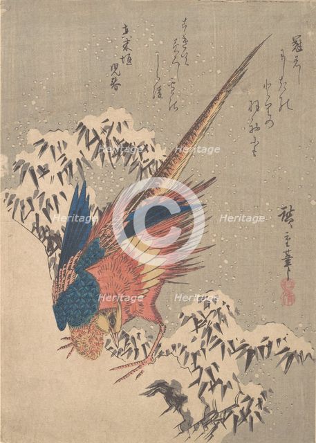 Pheasant Among Snow-laden Bamboo on Hillside, ca. 1840., ca. 1840. Creator: Ando Hiroshige.
