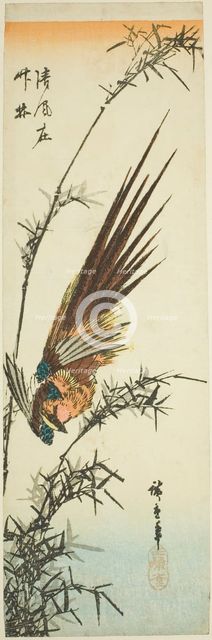 Pheasant and bamboo, 1840s. Creator: Ando Hiroshige.