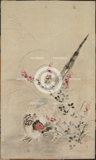 Pheasant and Grasses, late 17th-early 18th century. Creator: Ogata Korin (Japanese, 1658-1716), attributed to.