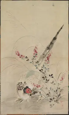Pheasant and Grasses, late 17th-early 18th century. Creator: Ogata Korin (Japanese, 1658-1716), attributed to