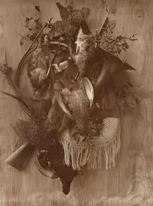 Pheasant and Grouse, ca. 1865. Creator: Adolphe Braun