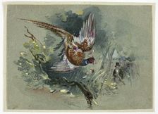Pheasant and Hunter, 1825-1877. Creator: Charles B Newhouse
