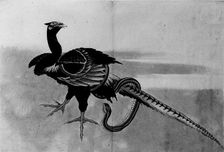 Pheasant and Snake, 18th-19th century. Creator: School of Katsushika Hokusai