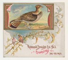 Pheasant, from the Game Birds series (N40) for Allen & Ginter Cigarettes, 1888-90. Creator: Allen & Ginter