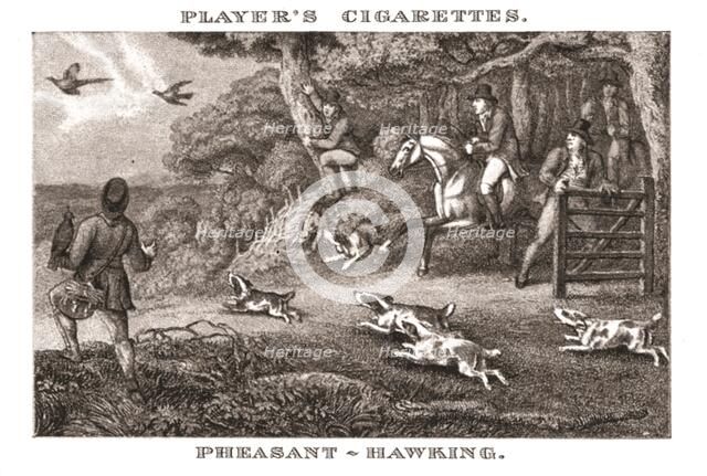 'Pheasant-Hawking', (1924). Creator: Unknown.