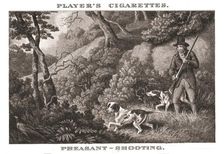 Pheasant-Shooting (1924). Creator: Unknown
