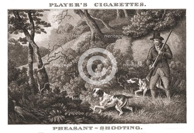 'Pheasant-Shooting', (1924). Creator: Unknown.