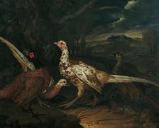 Pheasants, 1745. Creator: Philipp Ferdinand de Hamilton