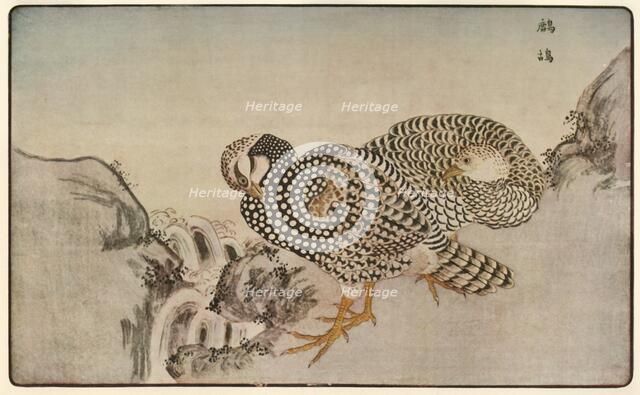 Pheasants, 1789, (1924).  Creator: Kitao Masayoshi.