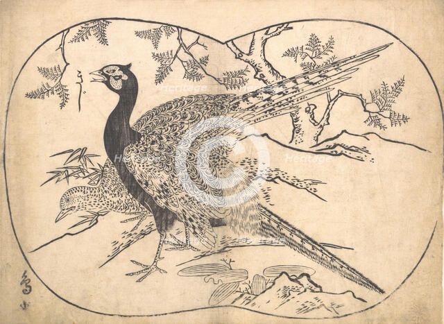 Pheasants. Creator: Hishikawa Moronobu.