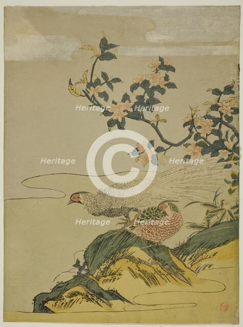 Pheasants under Branch of Peach Blossoms, c. 1764/75. Creator: Isoda Koryusai.
