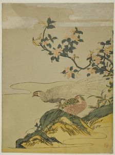 Pheasants under Branch of Peach Blossoms, c. 1764/75. Creator: Isoda Koryusai