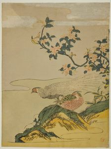 Pheasants under Branch of Peach Blossoms, c. 1764/75. Creator: Isoda Koryusai