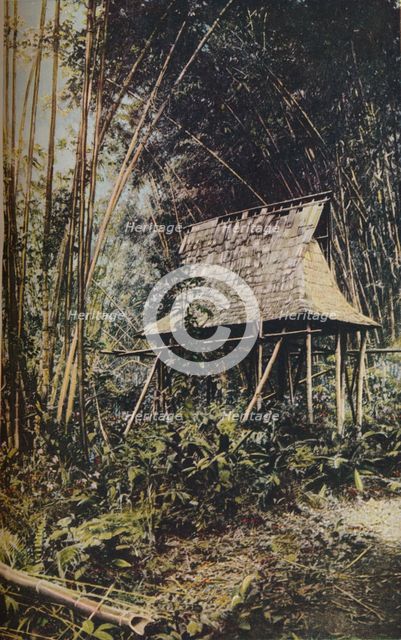 'Philippine Islands', c1930s. Artist: Unknown.