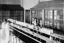 Philippines, 1912. Creator: Harris & Ewing