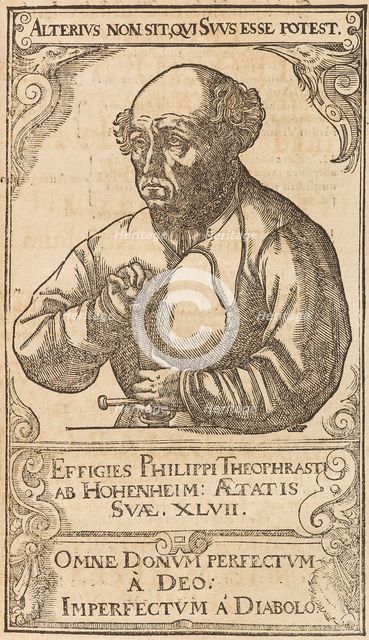 Philippus Theophrastus Aureolus Bombastus von Hohenheim (Paracelsus), 1589. Creator: Anonymous.