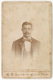 Photograph of a man in a suit, vest and necktie, 1880s - 1900. Creator: J. W. Taylor