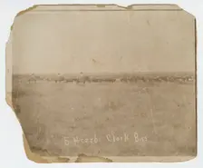 Photograph of men herding cattle in a field, early 20th century. Creator: Unknown