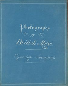 Photographs of British Algae: Cyanotype Impressions, ca. 1853. Creator: Anna Atkins