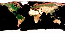 Photomosaic of Earth without cloud cover. Creator: Unknown
