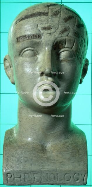 Phrenological head, 19th century. Creator: Unknown.