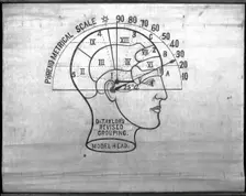 Phrenology: the human and animal brain, the location of its functions..., c1840s. Creator: Unknown