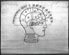 Phrenology: the human and animal brain, the location of its functions..., c1840s. Creator: Unknown