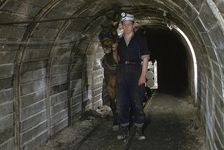 Pit Pony pulling truck