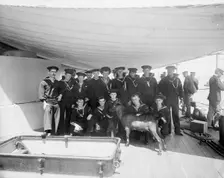 Pitch, the ship's mascot, between 1893 and 1901. Creator: Edward H Hart